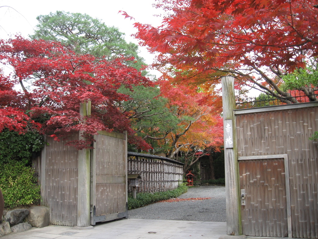 Kyōto in fall, all red